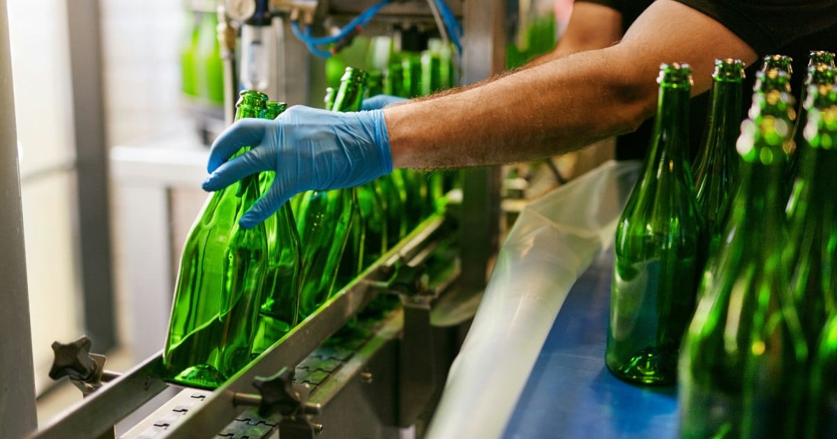 Gloved hand arranging green glass bottles on a beverage bottling line